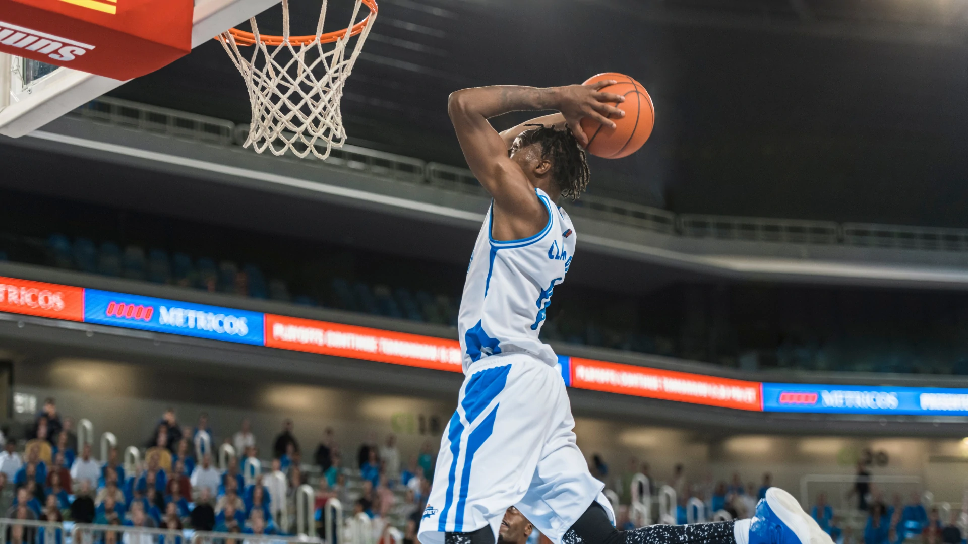 Basketball reddy anna book pro