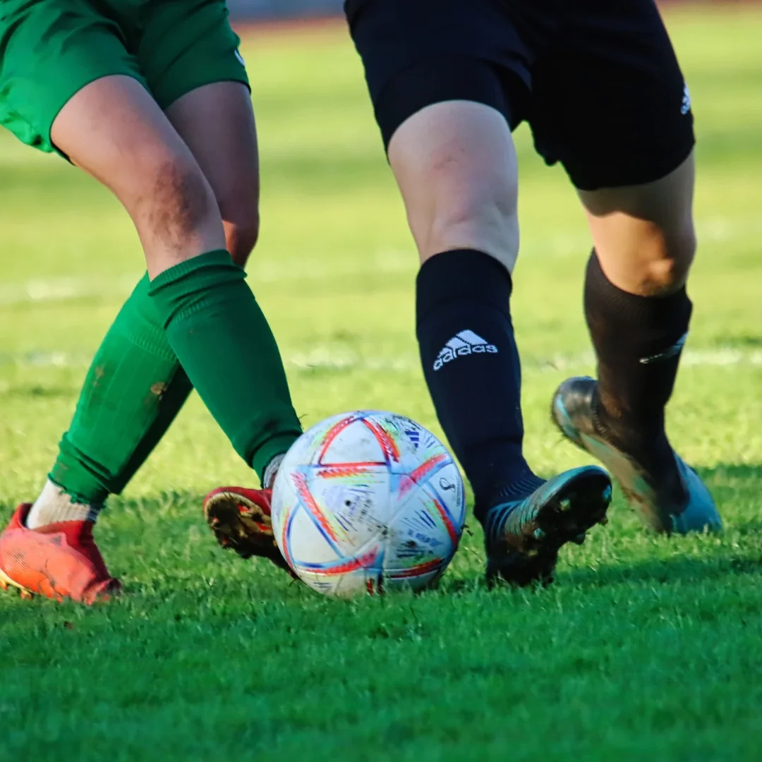 football reddy anna book pro fantasy football id from reddy anna book pro