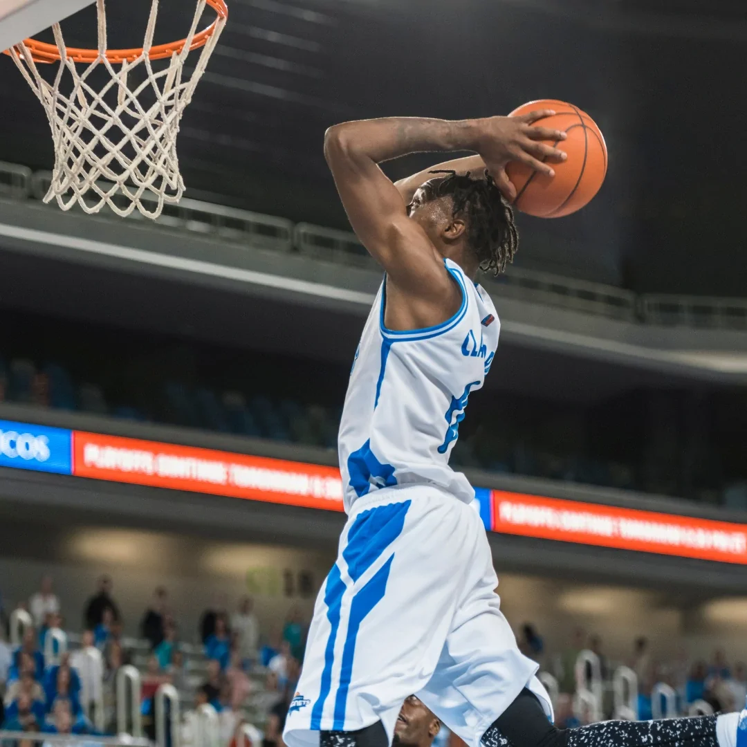Basketball reddy anna book pro Basketball reddy anna book pro