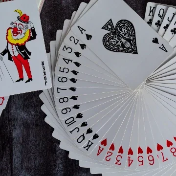 Rummy reddy anna book pro Rummy reddy anna book pro